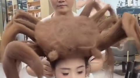 this haircut is something else