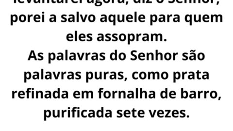 salmos 12 (2)