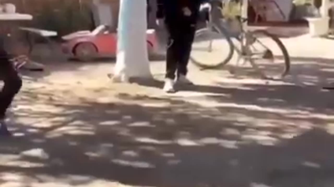 Funny video
