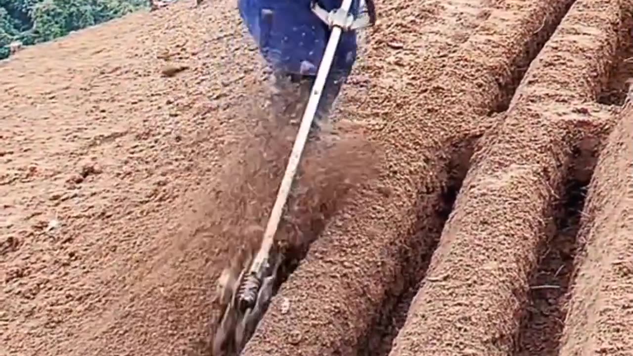 CRC vídeos curiosos