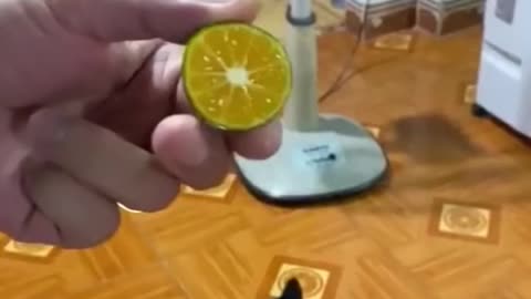 Funny video laugh u lose