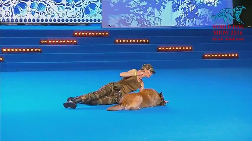 FCI Dog dance World Championship – Freestyle final - Lusy Imbergerova and Deril (Italy