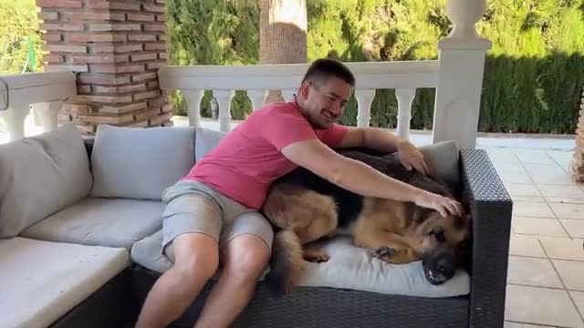 The Puppy is Jealous when I hug another German Shepherd