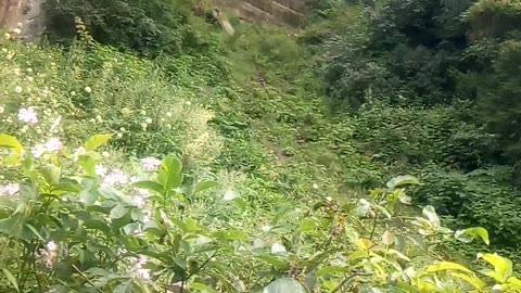 The ultimate beautiful waterfall of Kashmir