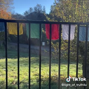 Helpful ideas about how to handle the holidays with normies 🤔