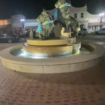 Pit Stop: The Lions of San Marco🦁