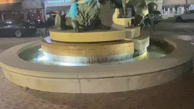 Pit Stop: The Lions of San Marco🦁