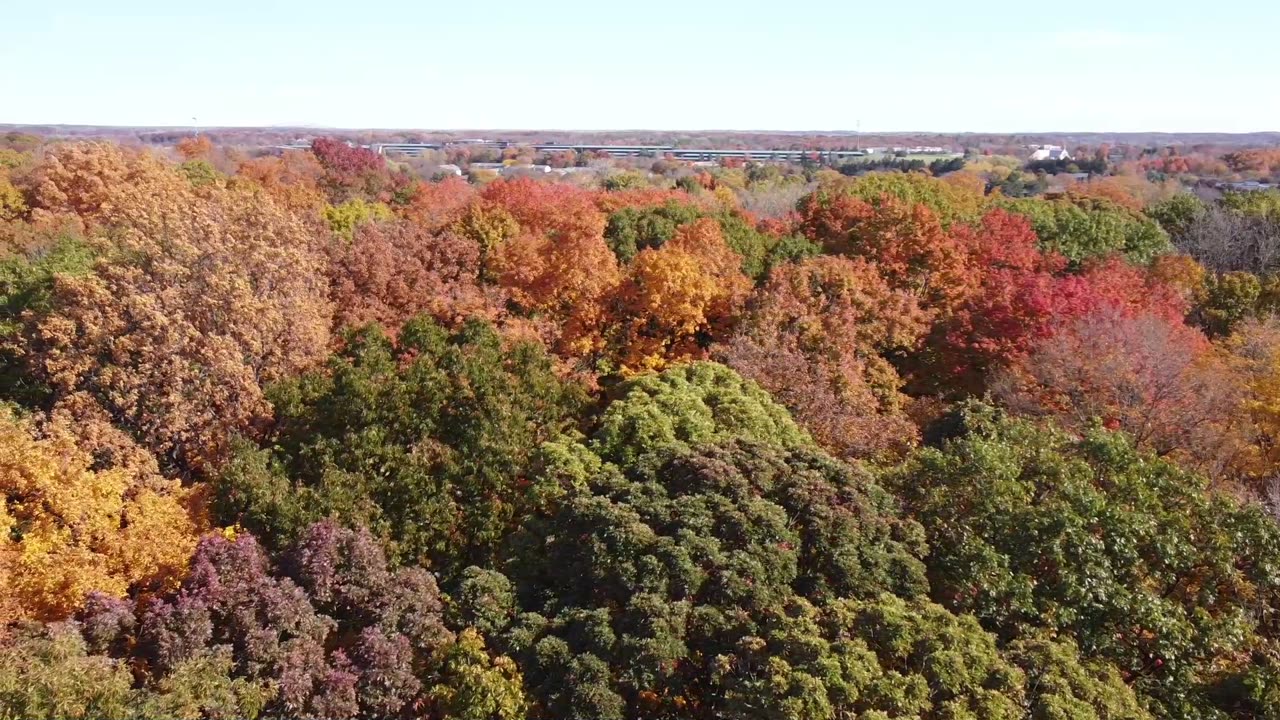 Michigan Fall Colors from a Drone