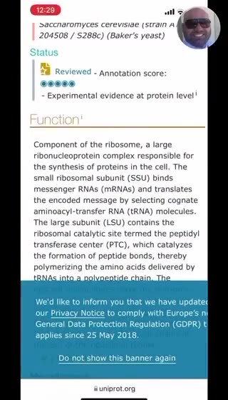 Attention: L17 - A LED Lights