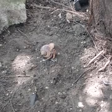 Look at the hard days