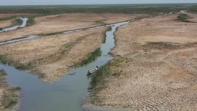 In Iraq's marshes, herders long for water