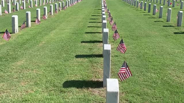 Flags for Veterans - Florida National Cemetery