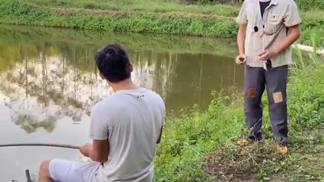Best Funny Videos - Try to Not Laugh