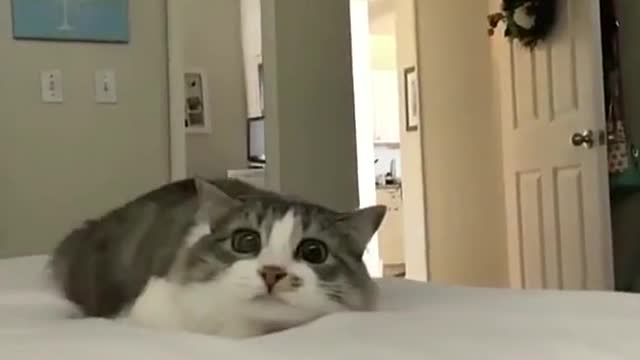 👀