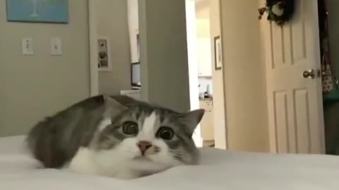 👀