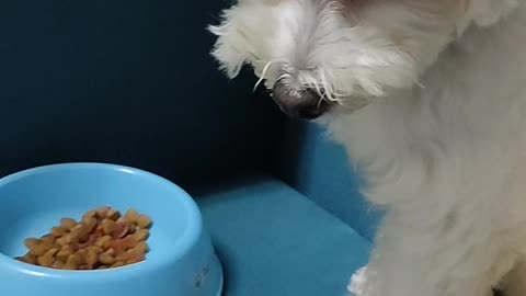 我在吃晚餐