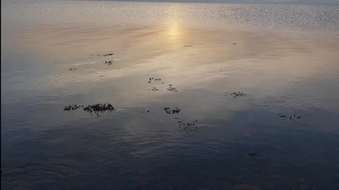 Ryan Bay, Loch Ryan, Stranraer, Scotland