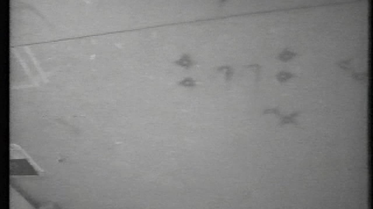 10098 Bruce Nauman - Stamping In the Studio = 1968