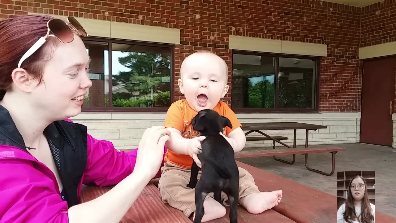 Adorable Babies Playing With Dogs Compilation - Funny Baby And Dog Videos || Just Laugh