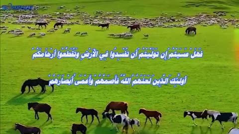 سلسلة ايات جزاء قاطع صلة الرحم ( 3 )