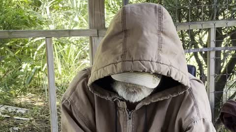 The views of an old man