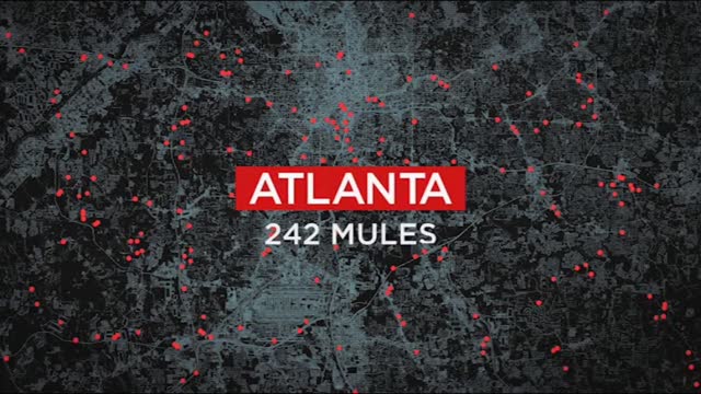 242 Mules in Atlanta