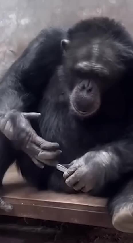 Wow. I can’t believe that. 😊😊