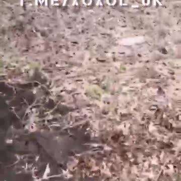 Ukrainian Grave Diggers