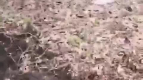 Ukrainian Grave Diggers