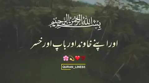 Muslim women's , Quran e Pak , Recitation Qurani Ayat, TikTok Snake Videos