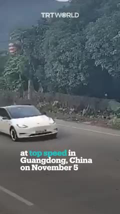 Tesla lost control parking