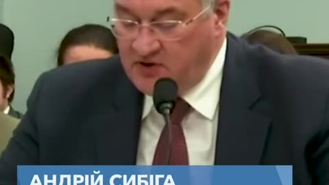 Ukrainian Foreign Minister Sibiga