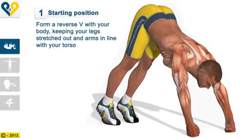 V Push Ups (with clenched fists) - Fitness exercises