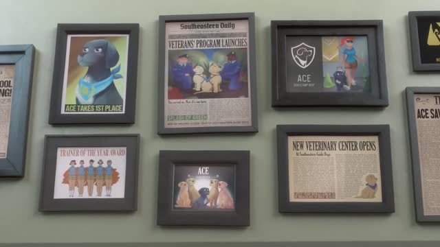 A short animated film about dogs