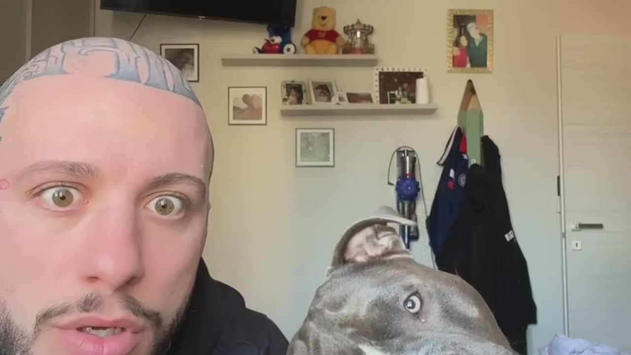 Adorable Dog Reaction ❤️❤️❤️🥰🥰🥰