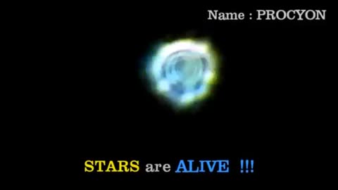 What real stars look like. They are not Suns.