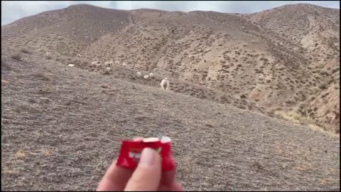 Funny Moments Of The Year