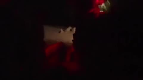 Footage of Ukrainians Clearing Russian Bunkers