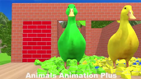 4 Giant Duck Cartoon,Tiger,Cow,rabbit,Gorilla,Hamsters,Dog,Cat Wild Animals Crossing Fountain 2023