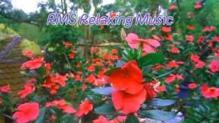 Relaxing Music | Sleeping, Meditation, Stress Relief | [7326] ⭐️