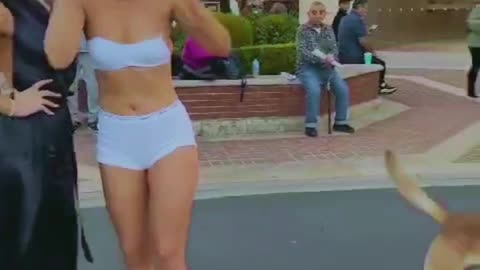 funnystuff