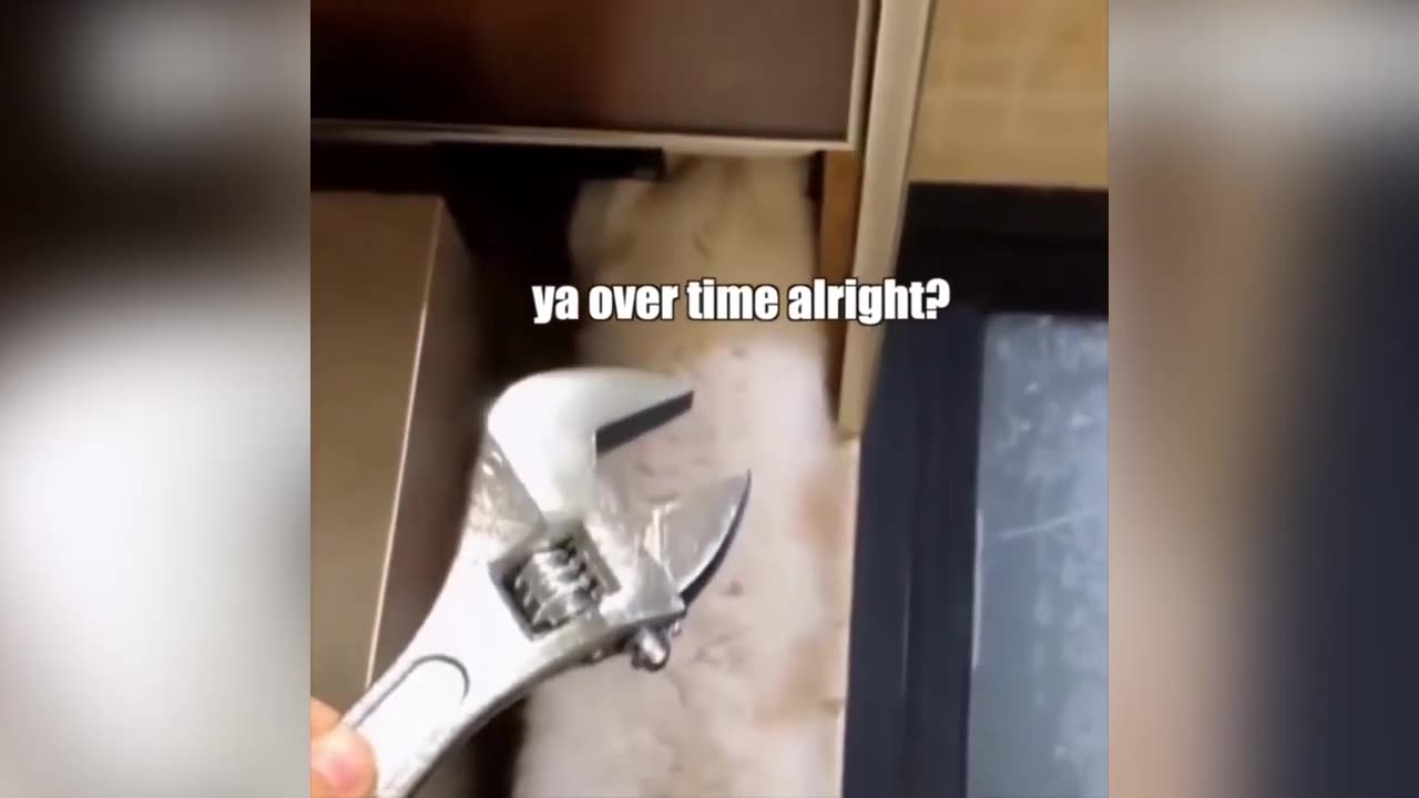 FirstFunny || NEW FUNNY FAILS || TRY NOT TO LAUGH || 🤣🤣😅😅