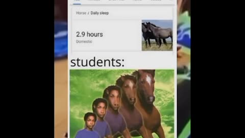 Funny Memes Compilation. Try not to Laugh