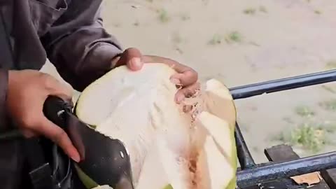 Fresh coconut water