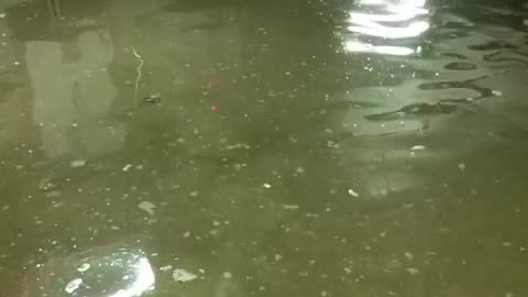 “La gotera se convirtió en diluvio”: denuncian estado de edificio en La Carolina
