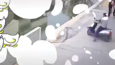 Funny video