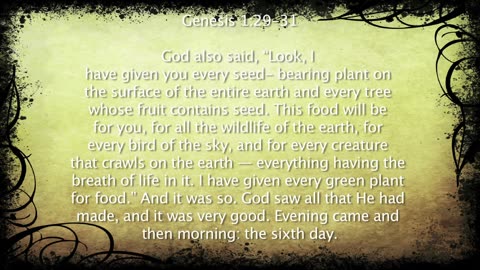 01 The Kingdom Culture