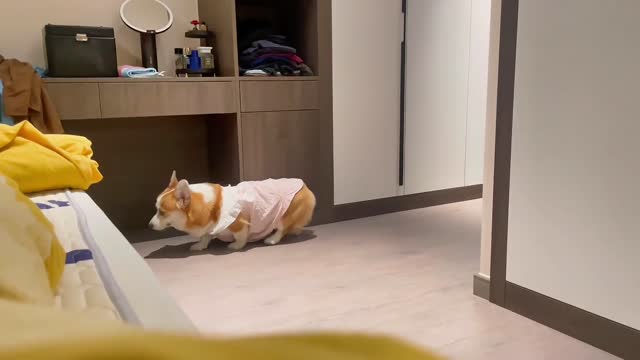 He's chokin, how everybody's jokin now