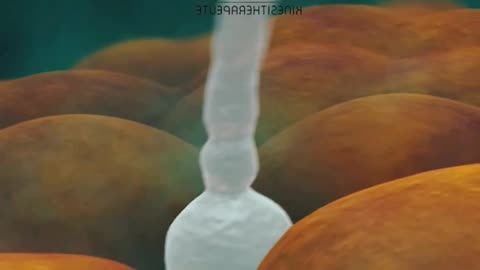 #short #viral