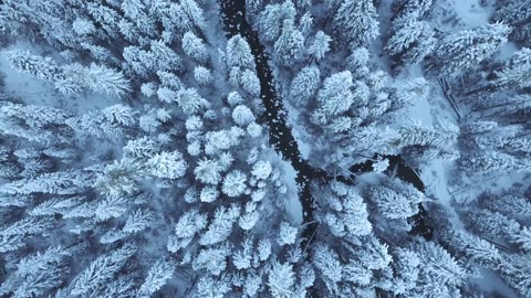 Stunning 4K Stock Footage | No Copyright Restrictions | Free to Use in Your Projects
